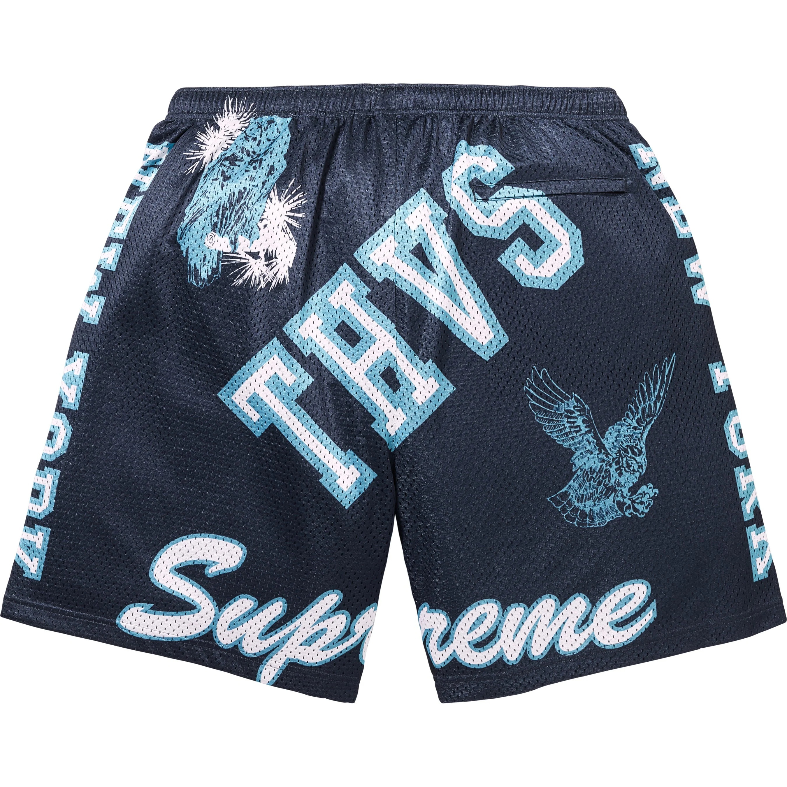 Varsity Mesh Short view 5